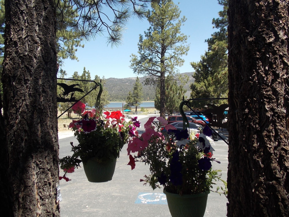 Vintage Lakeside Inn - photo 49
