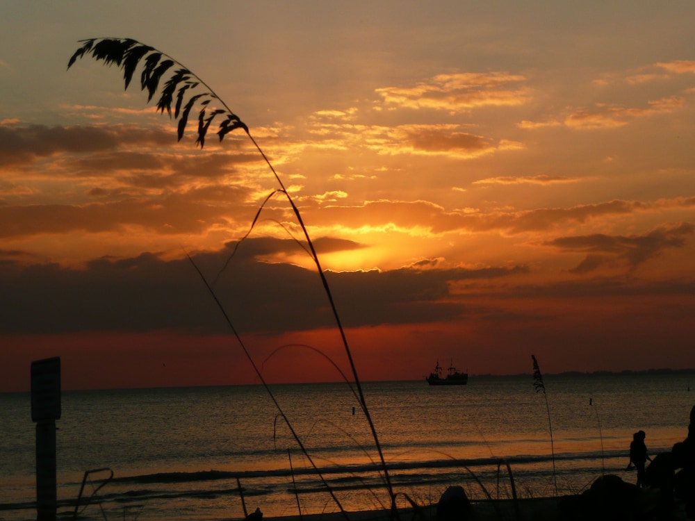 Manatee Bay Inn Near Fishing Pier Fort Myers Beach - photo 24