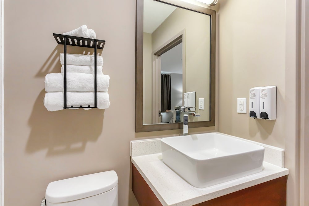 Red Roof Inn Plus Jamaica Ny Jfk Airport - photo 22