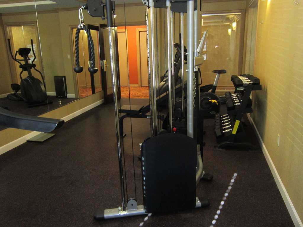 Best Western Aspen Hotel - photo 15