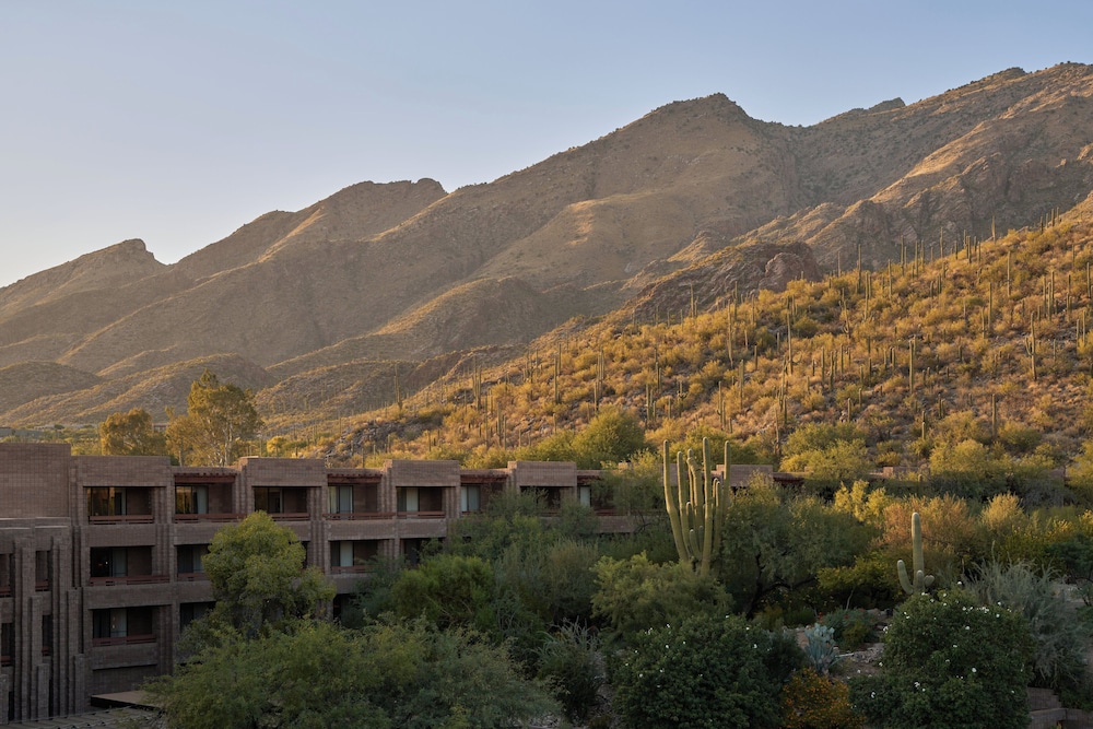 Loews Ventana Canyon Resort - photo 99