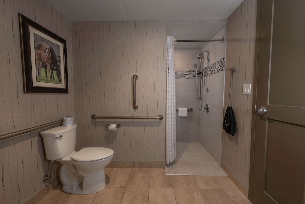 Embassy Suites Saratoga Springs - photo 22