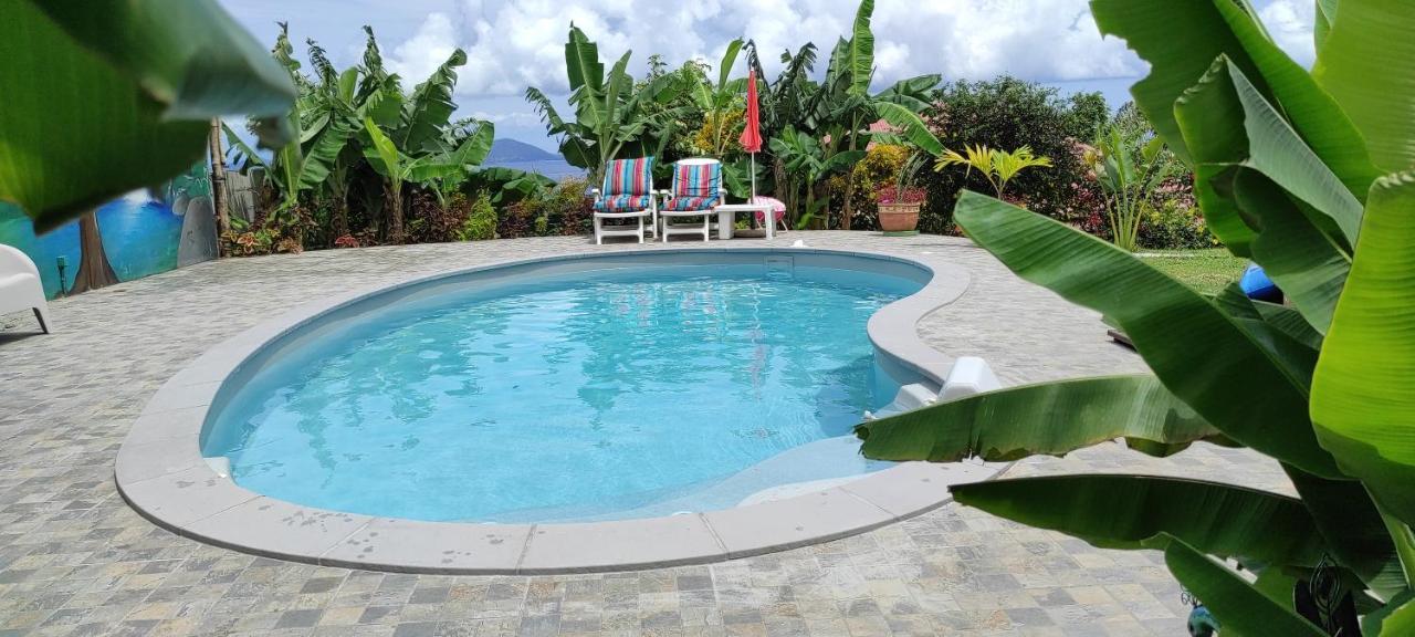 Un Coin de Paradis Piscine Privative Vue Saintes — Trois-Rivieres — photo 3