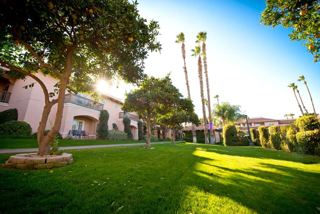 Harris Ranch Resort - photo 13