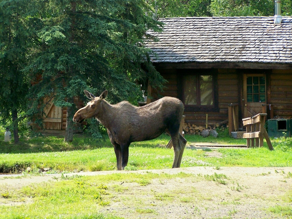Chena Hot Springs Resort - photo 61