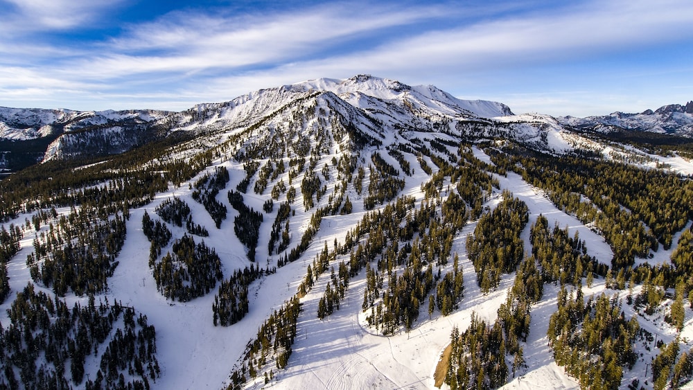 Mammoth Mountain Inn - photo 43