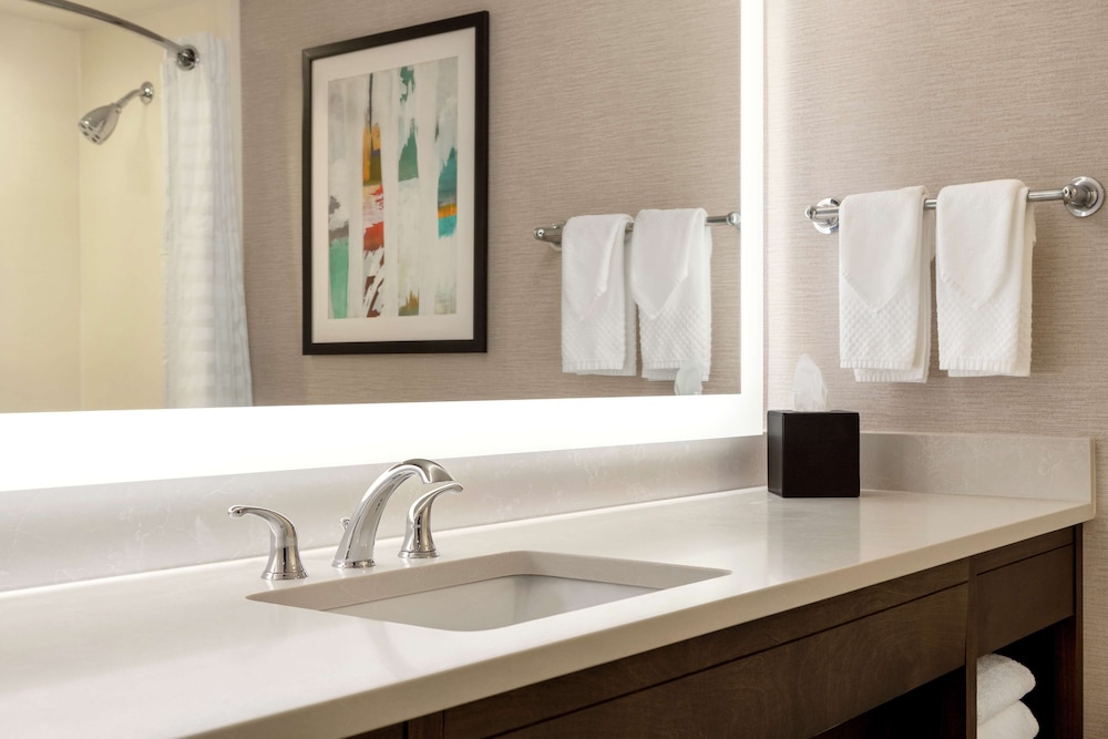 Embassy Suites by Hilton Baltimore at BWI Airport - photo 25