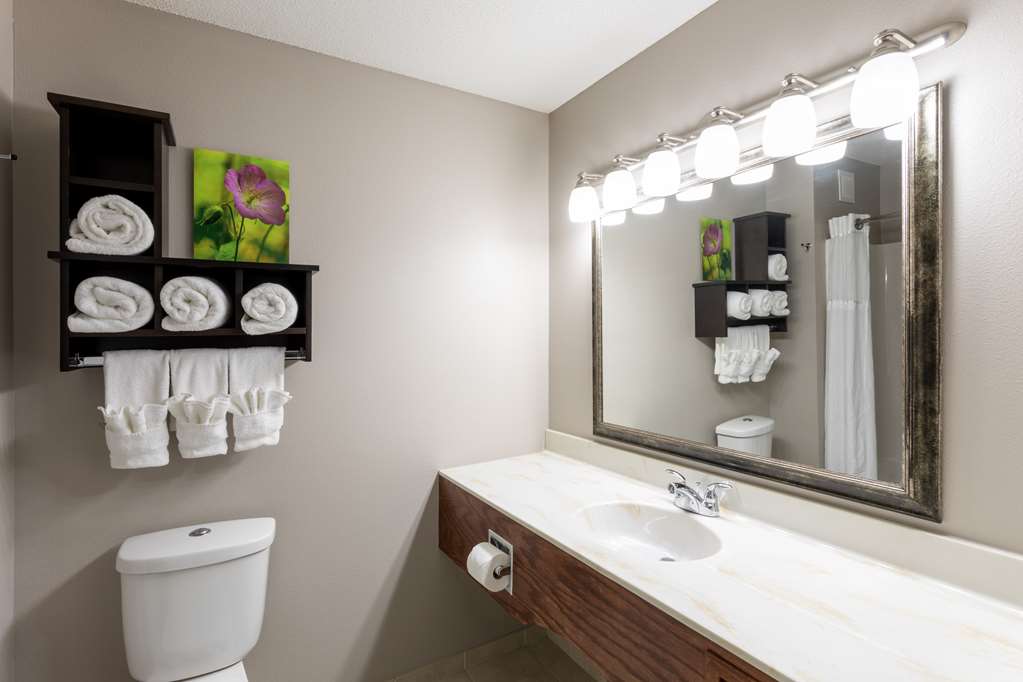 Grandstay Residential Suites Hotel Sheboygan - photo 12