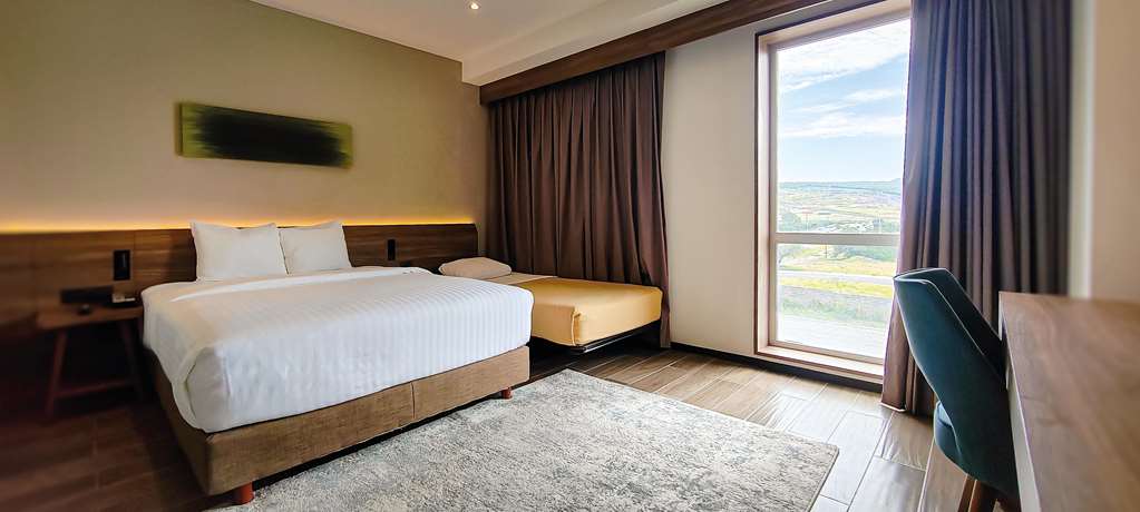 FUJITAYA room the fujitaya plus
