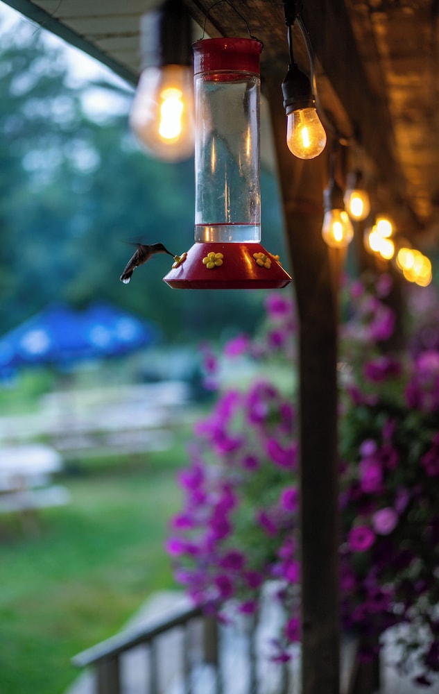 Inn By The River - photo 67