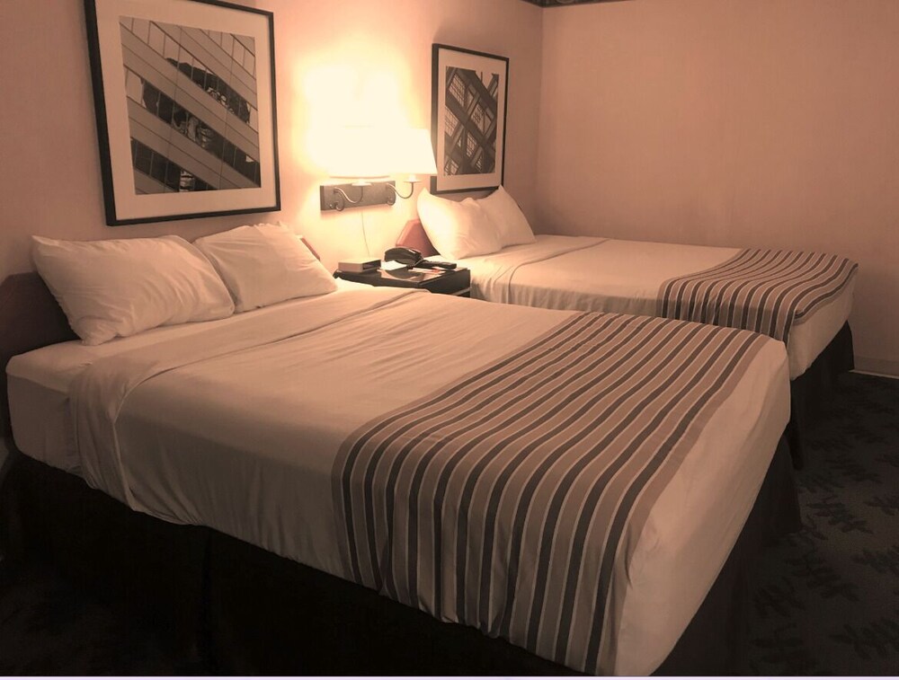 Econo Lodge Hurley Ironwood - photo 4