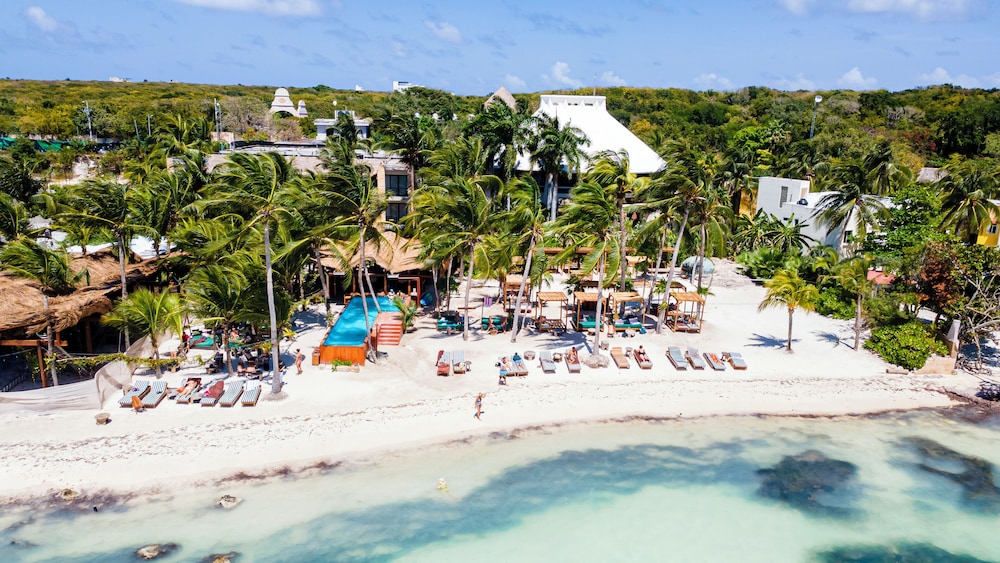 Mayan Monkey Isla Mujeres Social Hotel