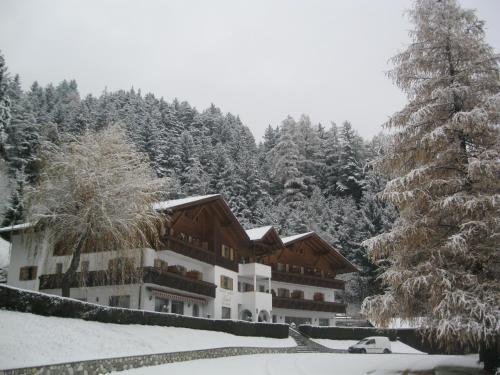 Hotel Larch in Campo Di Trens, Italy