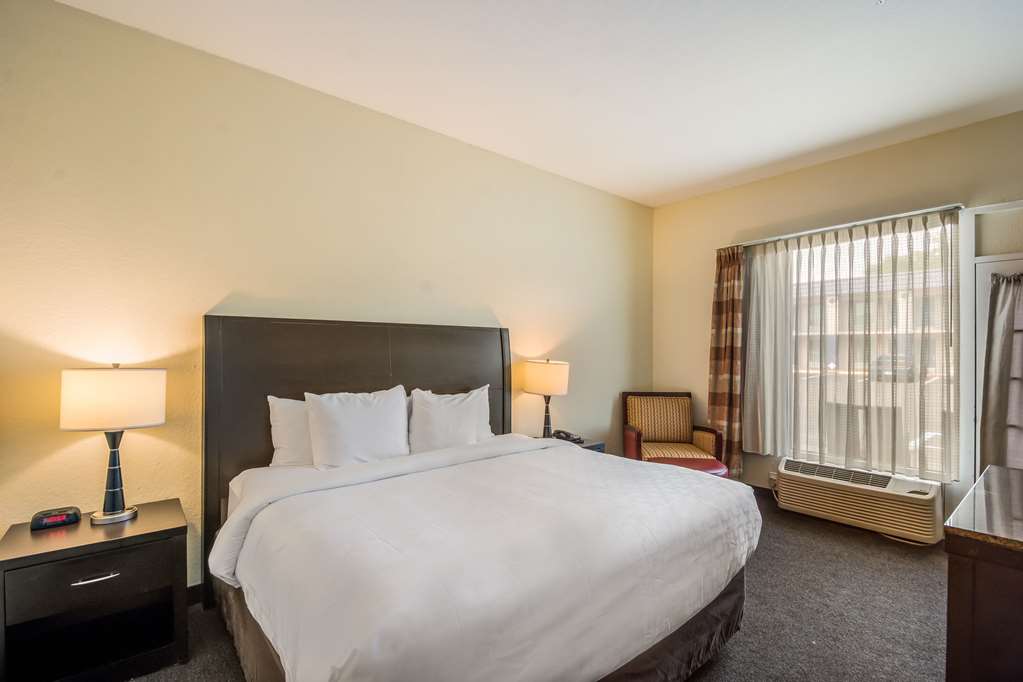 Clarion Inn & Suites Central Clearwater Beach - photo 30