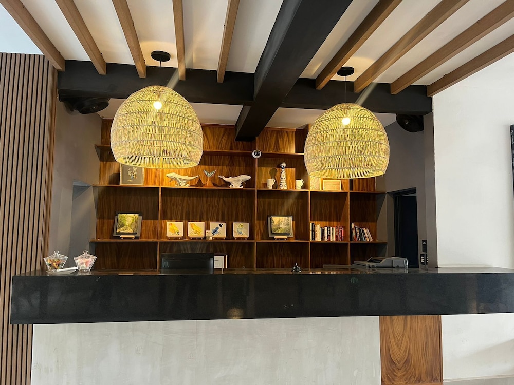Hotel Palmeras — Bucerias — photo 5