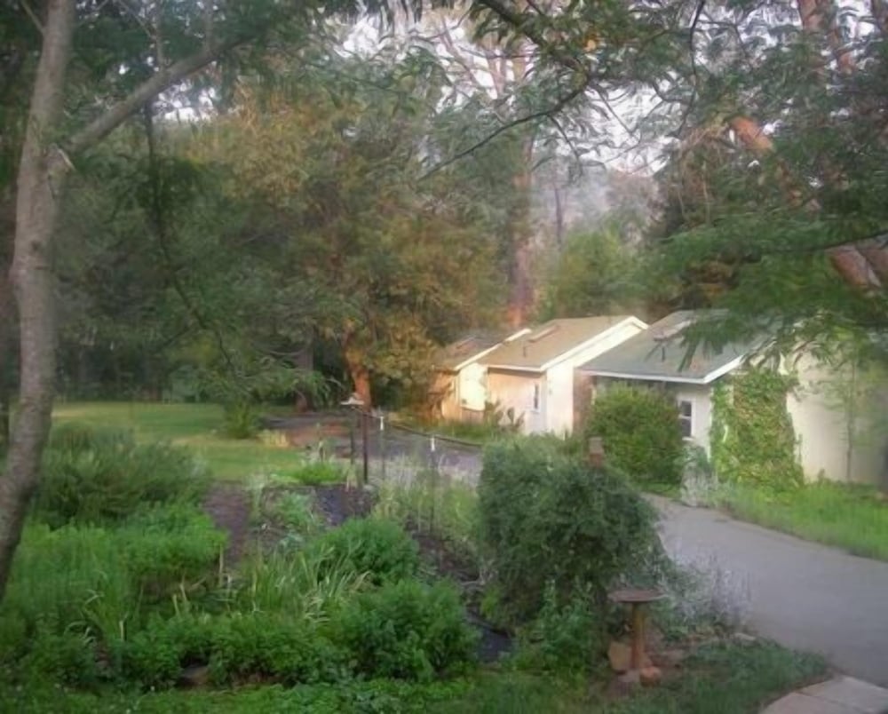 Backyard Garden Oasis - photo 73