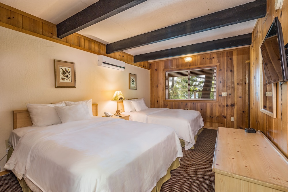 The Pines Resort - photo 13