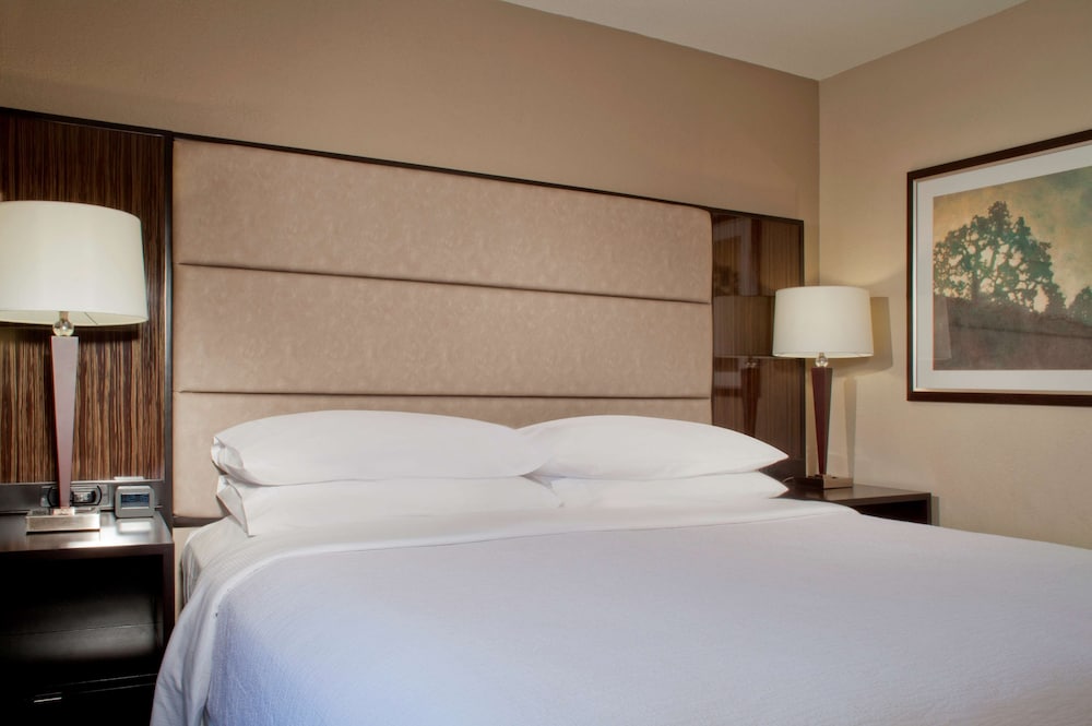 Embassy Suites by Hilton Houston Near the Galleria - photo 10