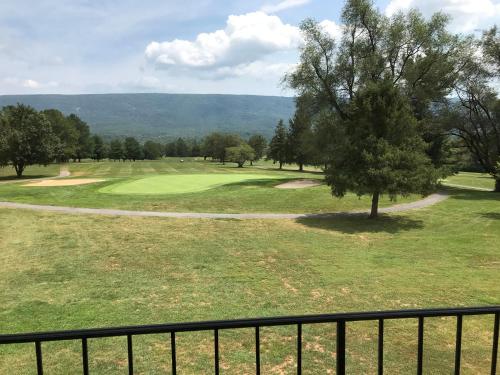 Shenvalee Golf Resort - photo 3