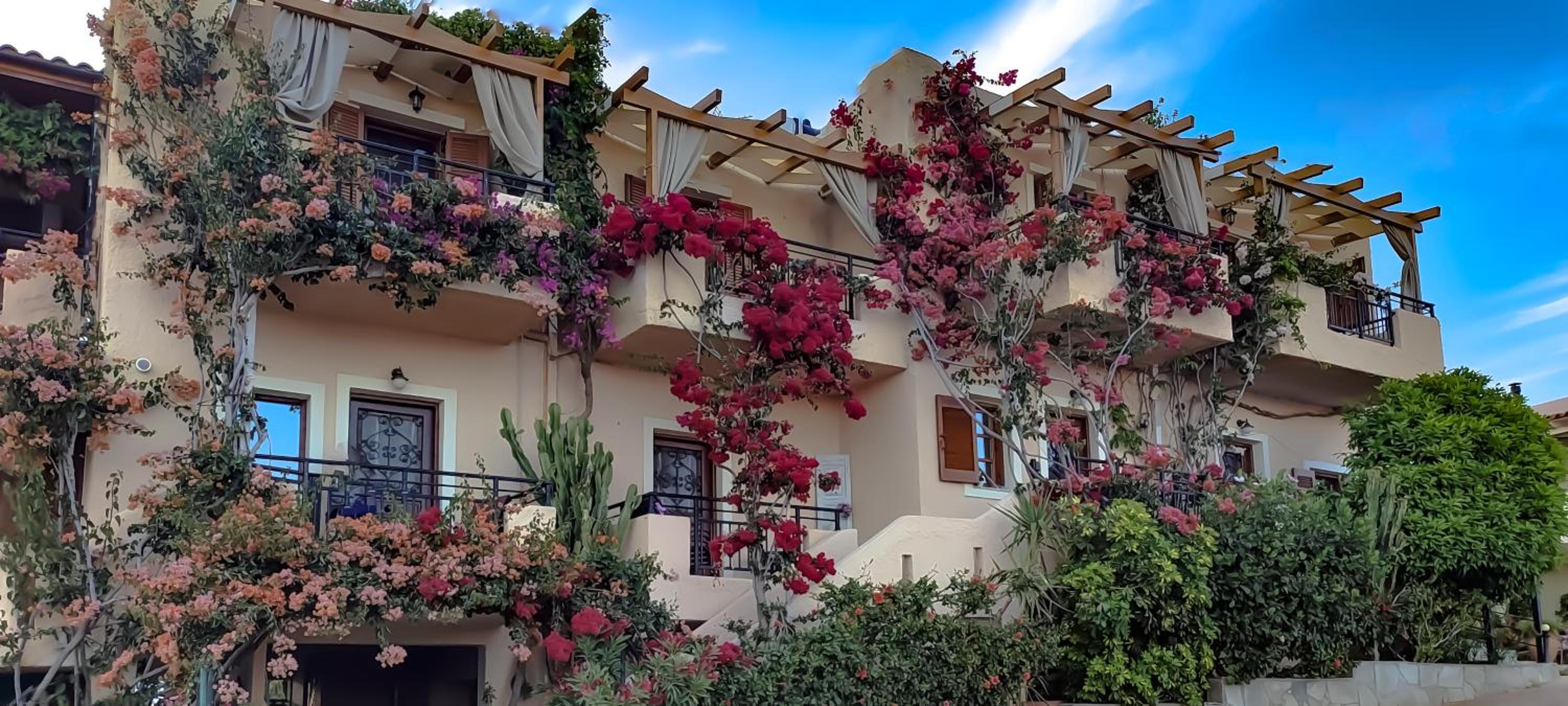 Niki Apartments — 4-Star Luxury Hotel in Makrygialos, Greece