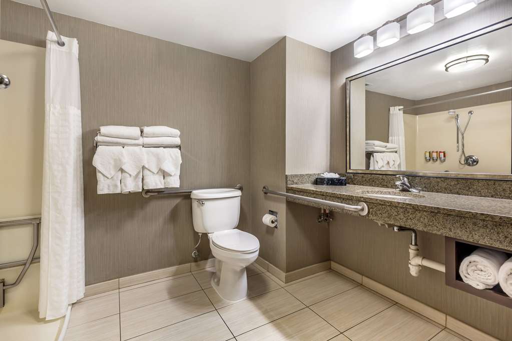 Comfort Inn & Suites Logan International Airport - photo 6