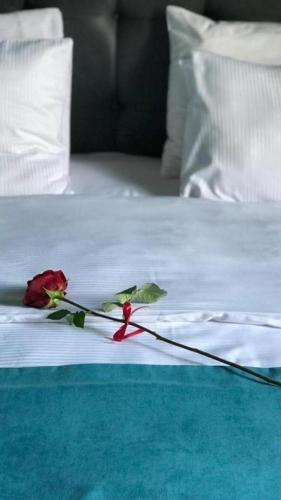 Belona Hotel