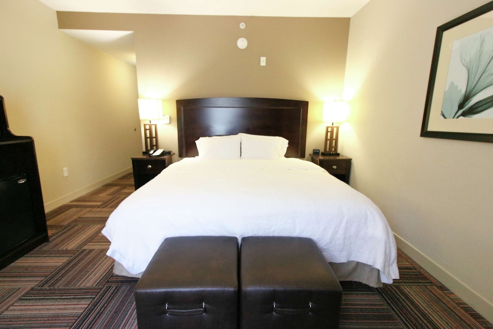 Hampton Inn & Suites by Hilton Flowery Branch Lake Lanier - photo 4