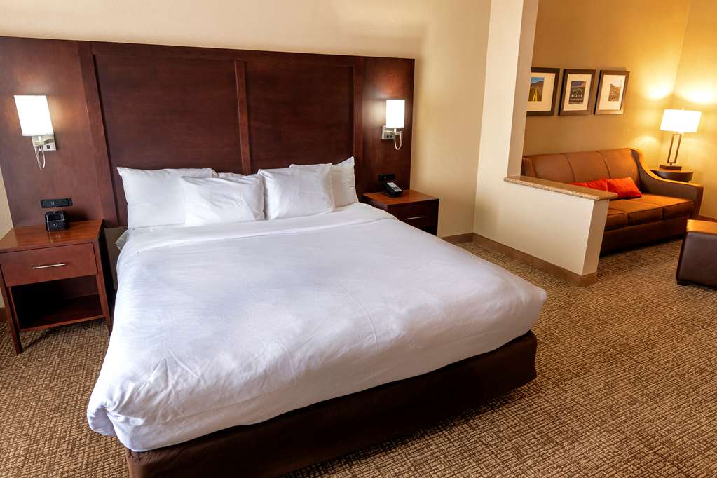Comfort Suites Goodyear West Phoenix - photo 24