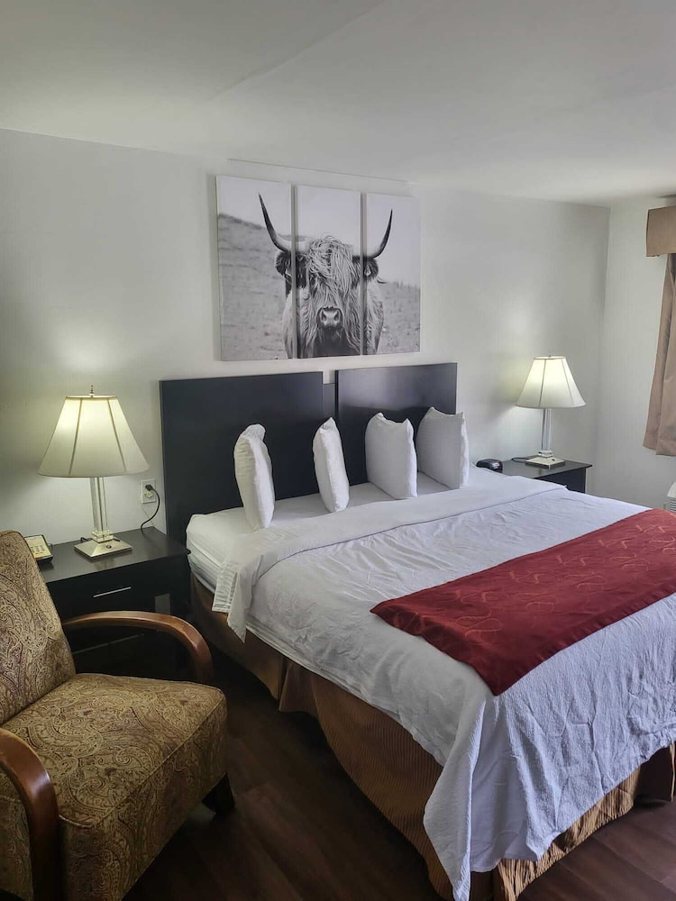 Pine Tree Inn - photo 18