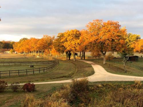haras du Vignault Le Bucher in Salbris, France