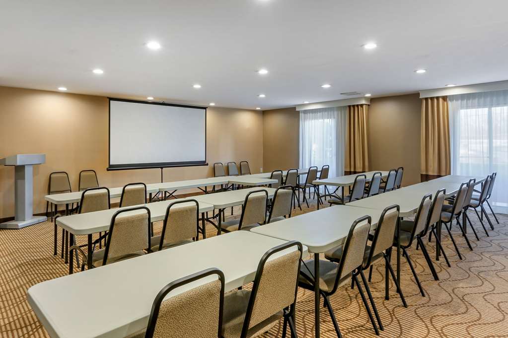 Comfort Suites Oakbrook Terrace near Oakbrook Center - photo 26