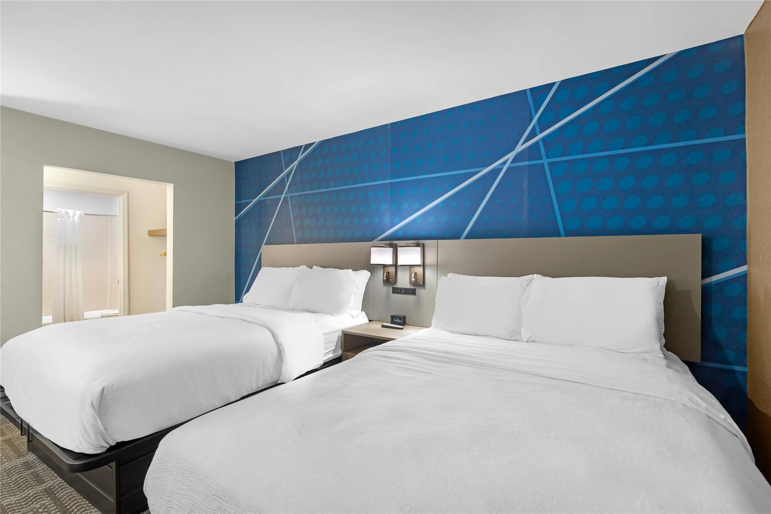 Comfort Inn & Suites Savannah Airport - photo 16