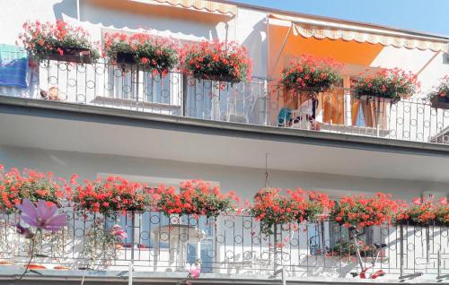Awesome Apartment In Dziwnów With Wifi — 4-Star Luxury Hotel in Dziwnow, Poland