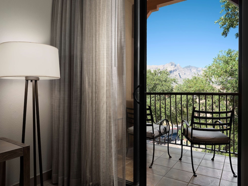 Embassy Suites by Hilton Tucson Paloma Village - photo 16