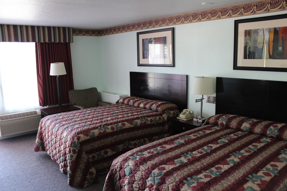 Safari Inn - photo 16