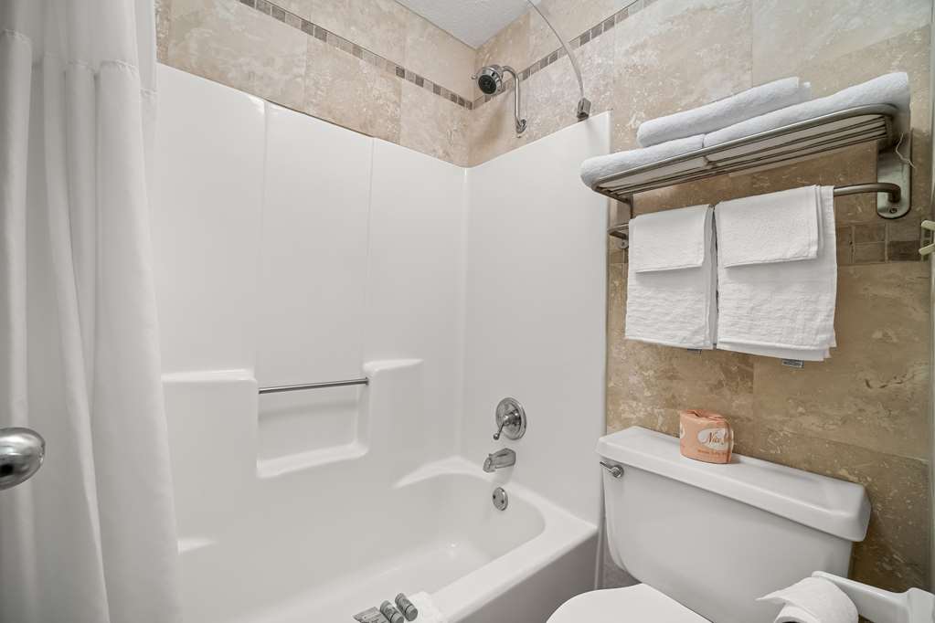 Best Western Braselton Inn - photo 19