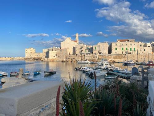 Calipso in Giovinazzo, Italy