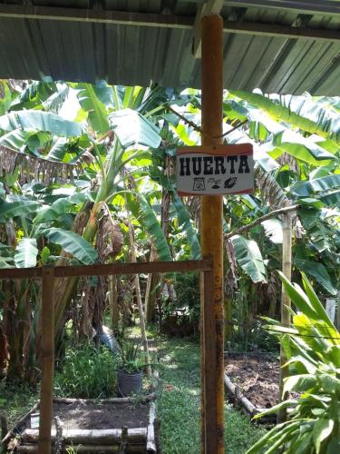 Finca La Perla Yopal — Yopal — photo 5