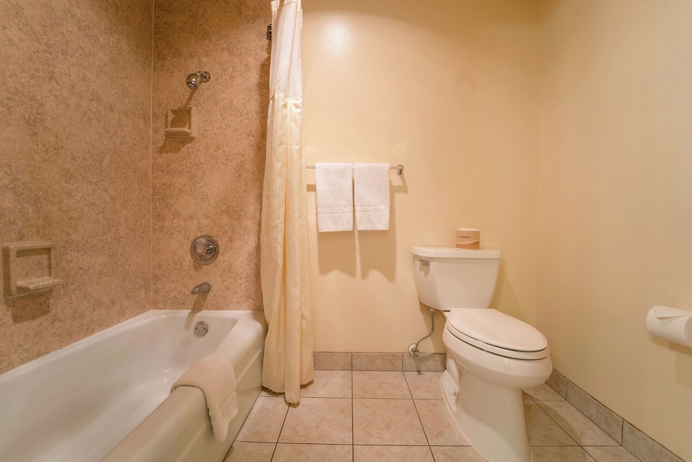 Royal Plaza Inn Indio - photo 58