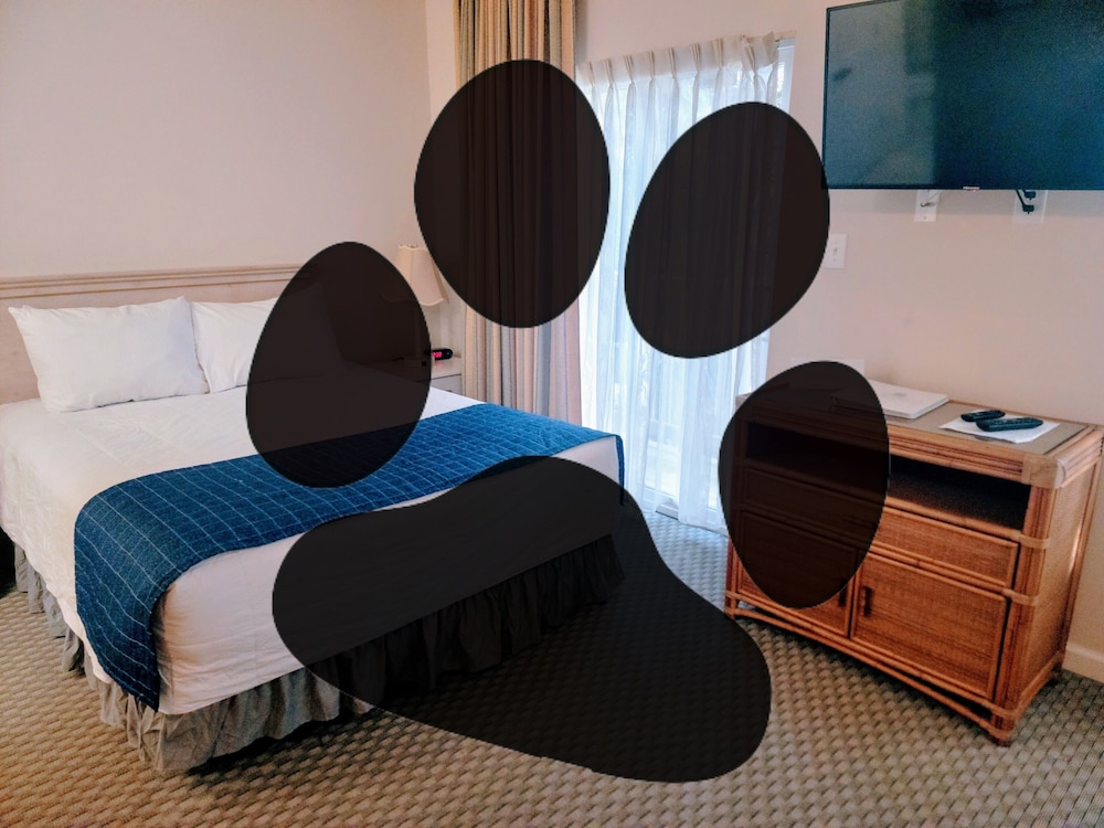 Beaufort Harbour Suites - photo 12