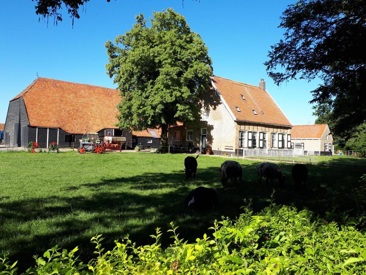 Mariahoeve - carbon neutral hotel in Unknown City