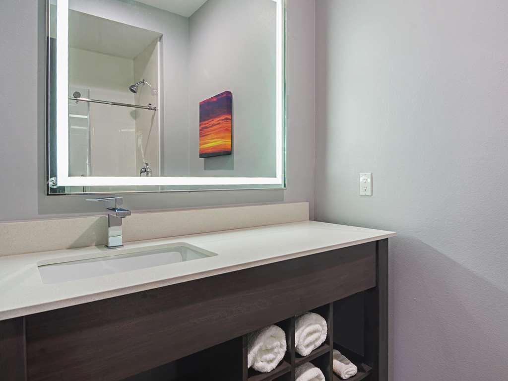 La Quinta Inn & Suites by Wyndham Dallas Wylie - photo 14