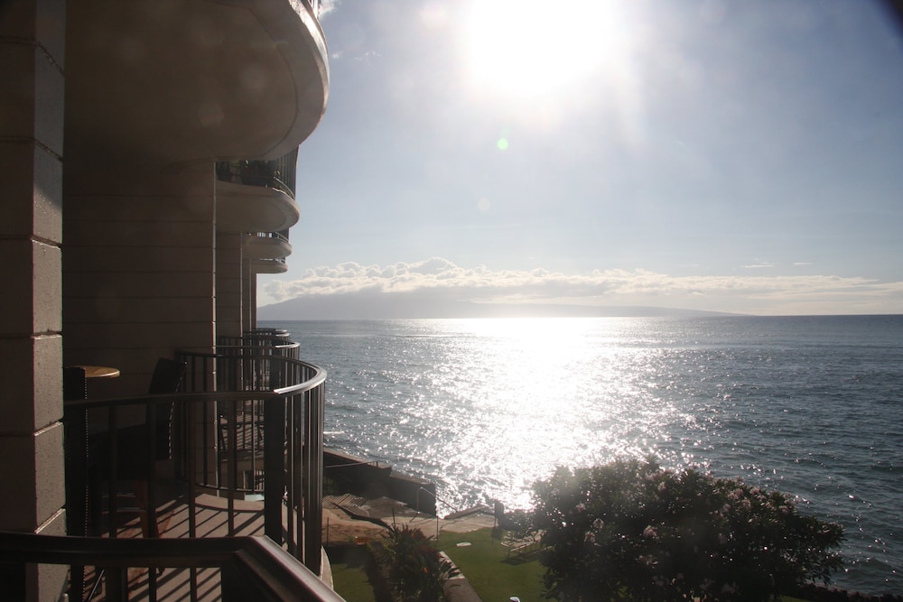 Love & Discover the Place of Your Dreams in 305 Lahaina - photo 21