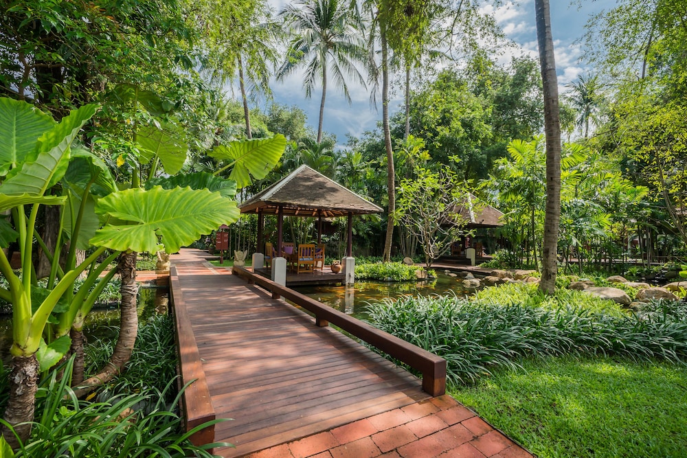 שטחי חוץ / גן