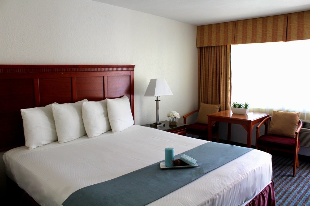 Pacific Inn and Suites - photo 12