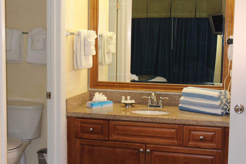 Blue Tree Resort at Lake Buena Vista - photo 44