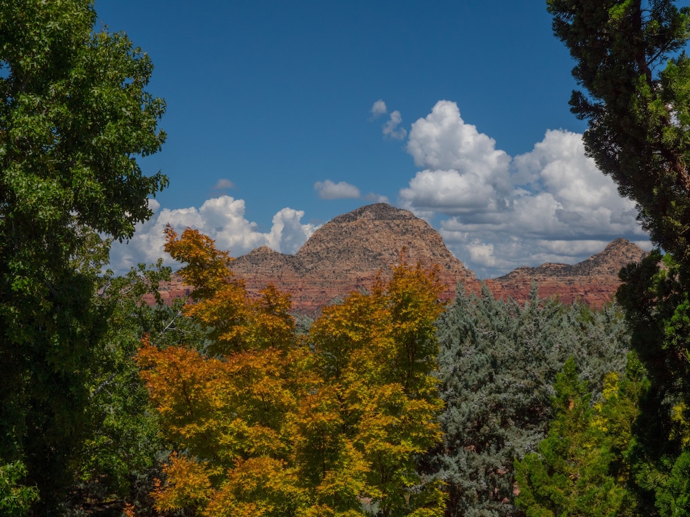 Sky Ranch Lodge - photo 96