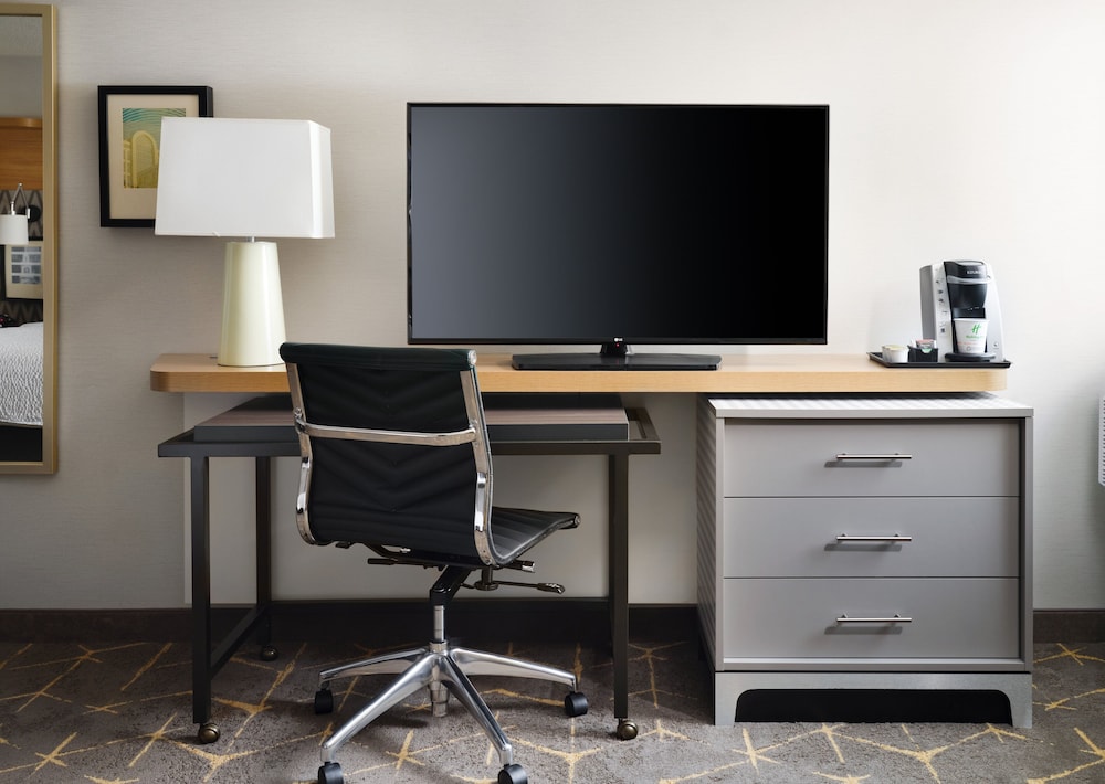 Holiday Inn Boston Dedham Hotel & Conference Center by IHG - photo 9