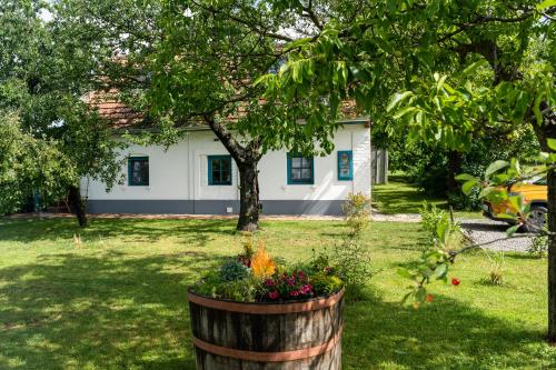 Stüble Loft - carbon neutral hotel in Unknown City