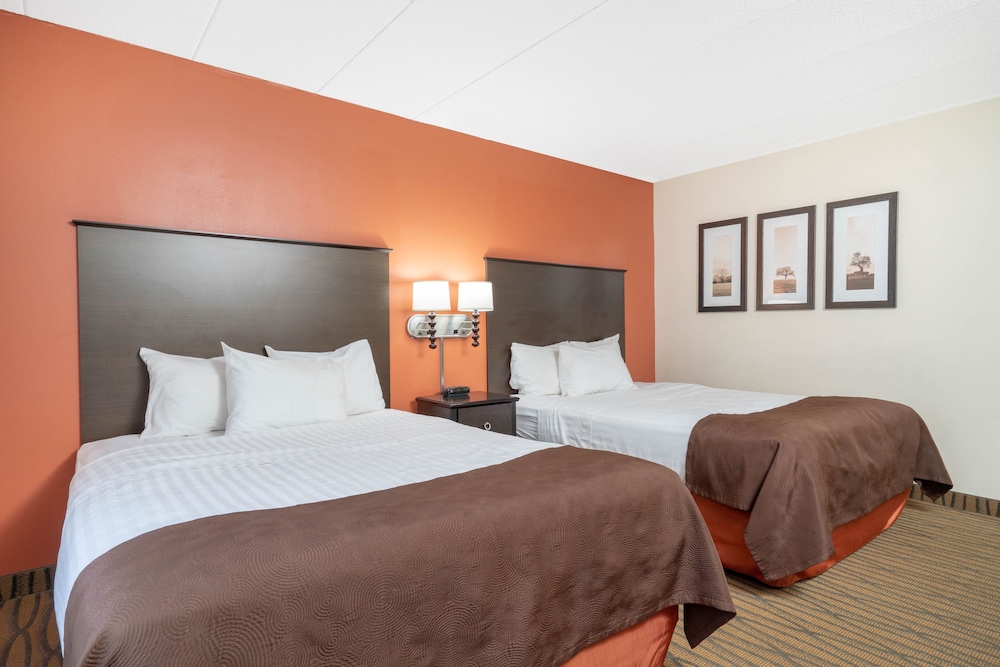 Aspen Hotel Rogers - photo 8
